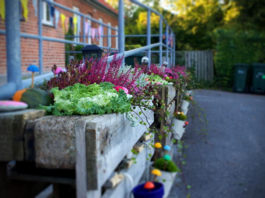 Palle-plantekasser til Åbent Hus arrangement i Gevninge Kulturhus #Frivilligugen 2025